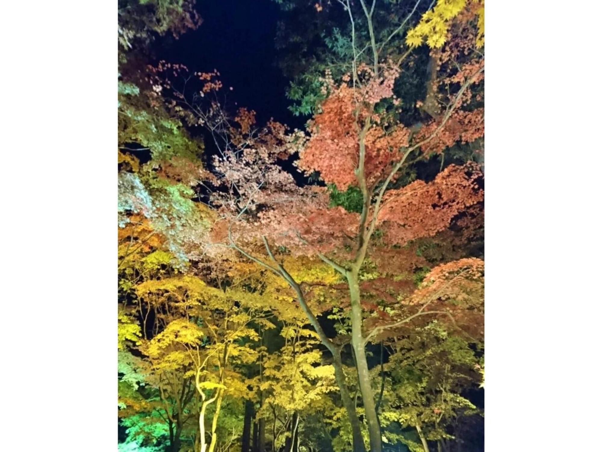 Hotel Tetora Yunokawaonsen - Vacation Stay 30623V Hakodate Zewnętrze zdjęcie